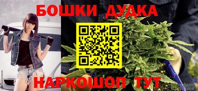 индика Будённовск