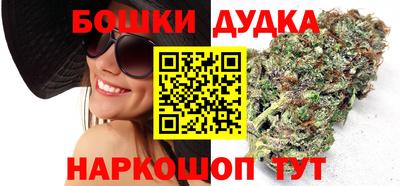 индика Будённовск