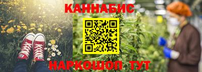индика Будённовск