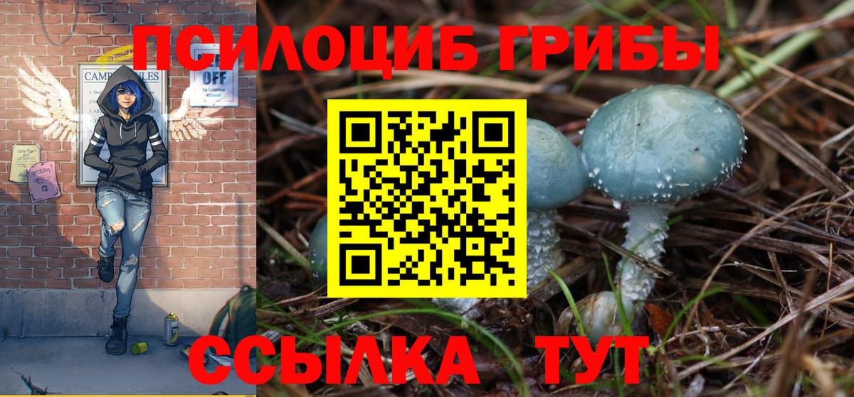 Псилоцибиновые грибы Cubensis  Вход с VPN  Кузнецк 
