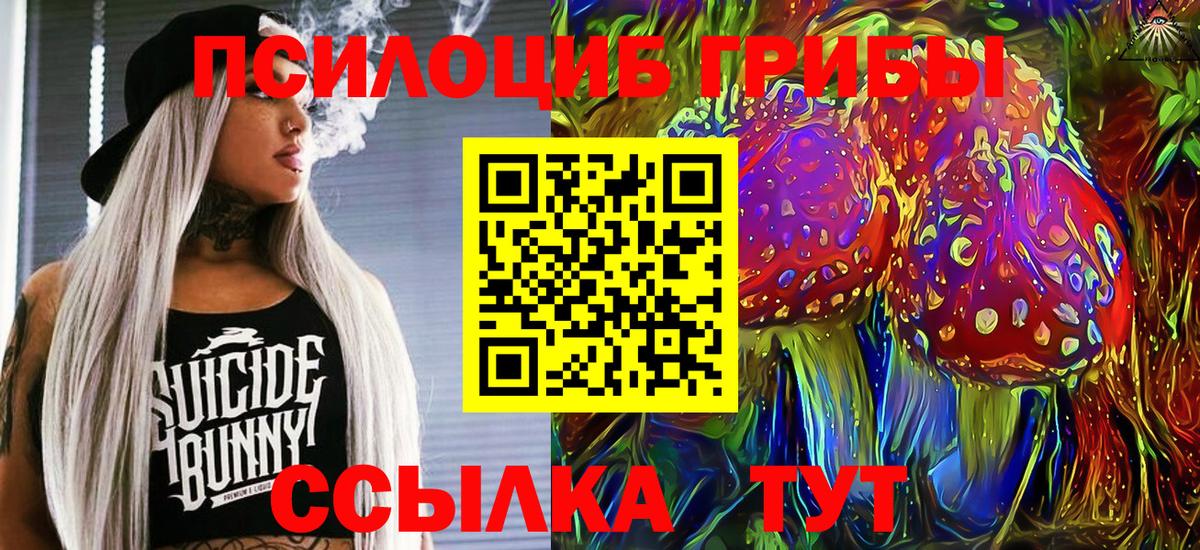 Псилоцибиновые грибы GOLDEN TEACHER Кузнецк